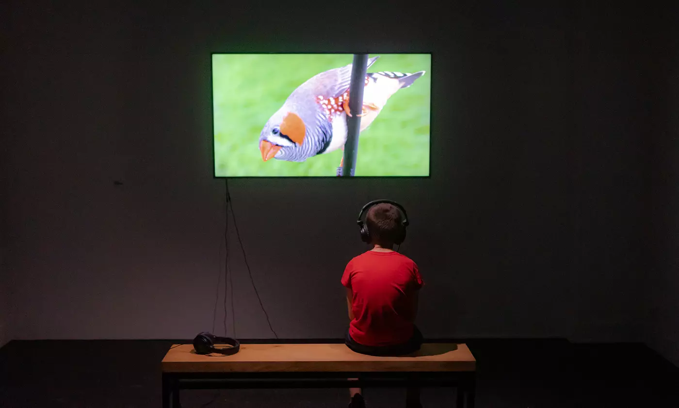 Exposition : L'air du temps présent